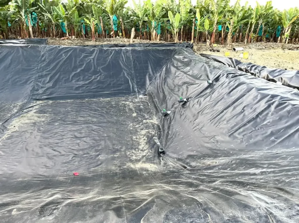 aplicacion geomembrana bananera 1